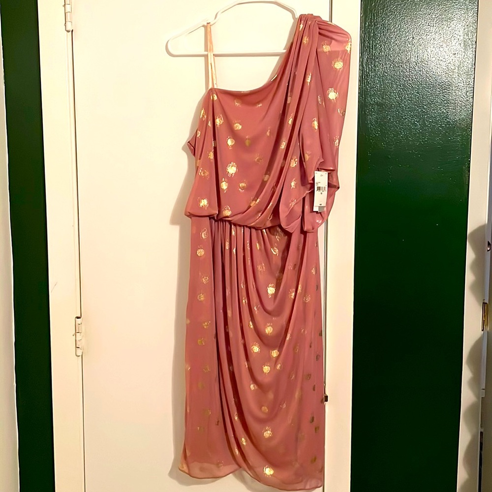 Liliana Rose One Shoulder Dress